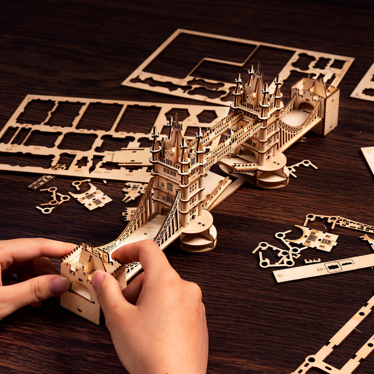 Puzzle en Bois 3D - ROBOTIME - Lift Coaster - 250-400 pièces